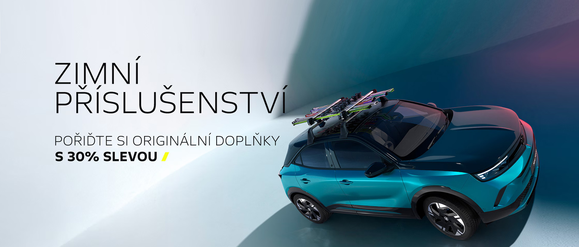 Servisní prohlídka